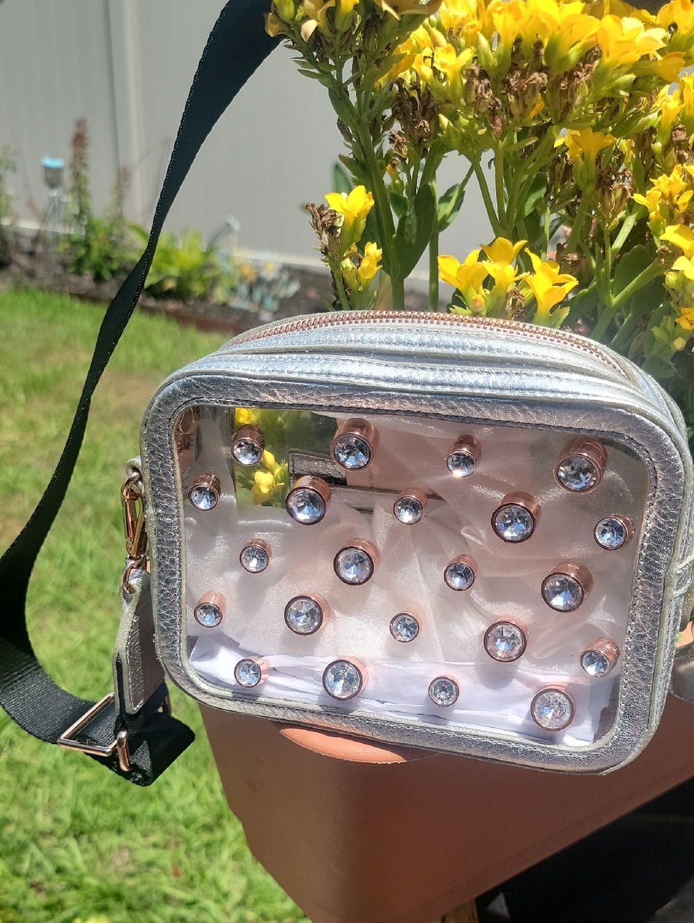 Sophia Webster Silver Clear Crossbody with Rose-Gold Crystal Studs